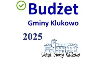 Projekt budżetu na 2025 rok